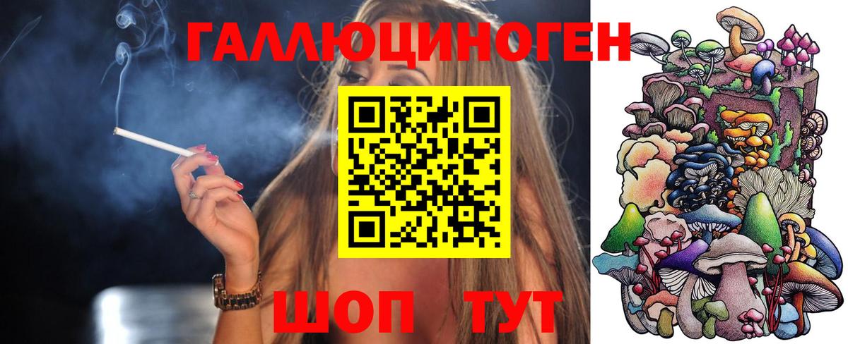 Галлюциногенные грибы Psilocybine cubensis  Вход с VPN  Обь 